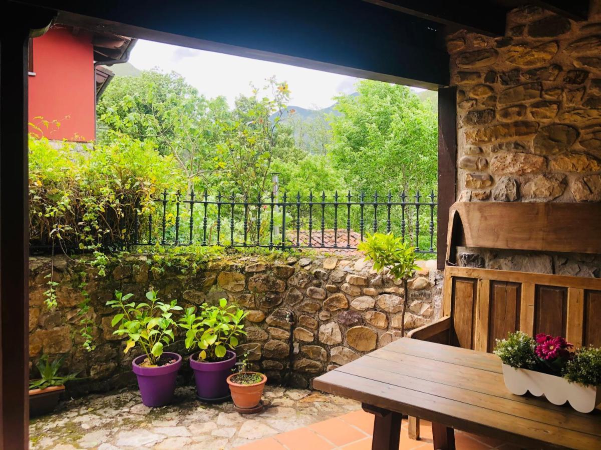 Apartamentos San Francisco Rural Caño Eksteriør billede