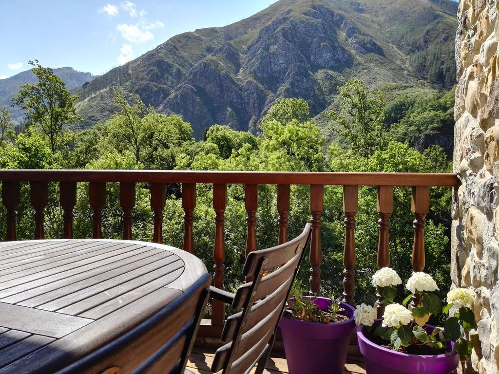 Apartamentos San Francisco Rural Caño Eksteriør billede